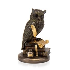 Статуэтка "Мудрая сова",  22 см VERONESE ᐒ купить на  ❤ Like7km.com.ua