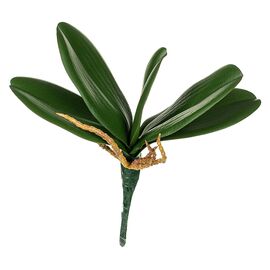Листья орхидеи 21 см ᐒ купить на  ❤ Like7km.com.ua