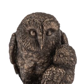 Статуэтка "Сова с совенком" (14 см) VERONESE, изображение 4 ᐒ купить на  ❤ Like7km.com.ua