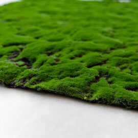 Декоративная панель из искусственного мха, 100*100 см, изображение 4 ᐒ купить на  ❤ Like7km.com.ua