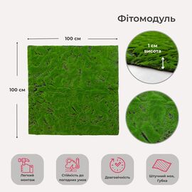 Декоративная панель из искусственного мха, 100*100 см, изображение 5 ᐒ купить на  ❤ Like7km.com.ua