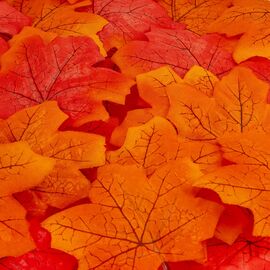 Искусственные кленовые листья "Золотая осень", оранжевые, 250 г, изображение 2 ᐒ купить на  ❤ Like7km.com.ua