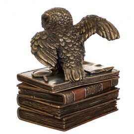 Статуэтка Шкатулка "Сова" (12 см) (75511A4), изображение 3 ᐒ купить на  ❤ Like7km.com.ua