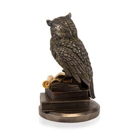 Статуэтка "Мудрая сова",  22 см VERONESE, изображение 4 ᐒ купить на  ❤ Like7km.com.ua