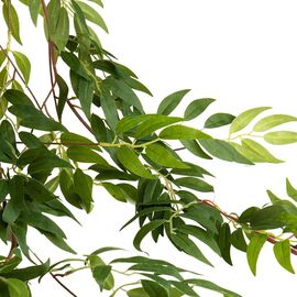 Свисающая зелень, 172 см, изображение 2 ᐒ купить на  ❤ Like7km.com.ua