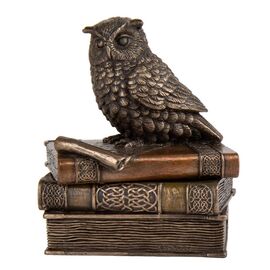 Шкатулка "Мудрая сова" (11 см) VERONESE ᐒ купить на  ❤ Like7km.com.ua