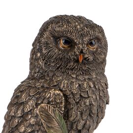 Статуэтка "Мудрая Сова", 15 см VERONESE, изображение 4 ᐒ купить на  ❤ Like7km.com.ua