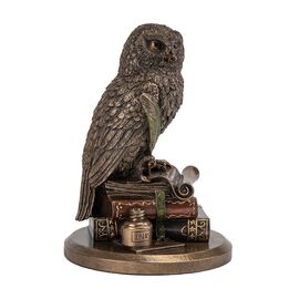 Статуэтка "Мудрая Сова", 15 см VERONESE, изображение 5 ᐒ купить на  ❤ Like7km.com.ua