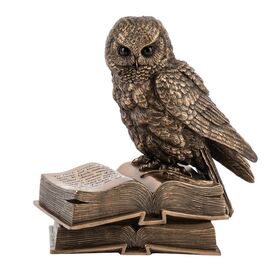 Статуэтка "Мудрая Сова", 16,5 см VERONESE ᐒ купить на  ❤ Like7km.com.ua