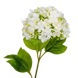 Гортензия "Аура", белая, 80 см, изображение 2 ᐒ купить на  ❤ Like7km.com.ua