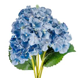 Букет гортензий, 5 бутонов, синий, 52 см, изображение 3 ᐒ купить на  ❤ Like7km.com.ua