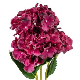 Букет гортензий, 5 бутонов, бордовый, 52 см, изображение 3 ᐒ купить на  ❤ Like7km.com.ua