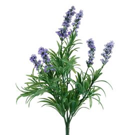 Лаванда (38 см), изображение 2 ᐒ купить на  ❤ Like7km.com.ua