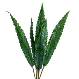 Листья эвкалипта, изображение 2 ᐒ купить на  ❤ Like7km.com.ua