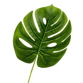 Лист монстеры  желто-зеленый искусственный, изображение 2 ᐒ купить на  ❤ Like7km.com.ua