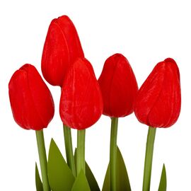 Букет тюльпанов "Рапсодия", красный, 25,5 см, изображение 2 ᐒ купить на  ❤ Like7km.com.ua