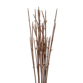 Флористическая основа "Ветка", 62 см, изображение 2 ᐒ купить на  ❤ Like7km.com.ua