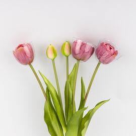 Букет тюльпанов, 5 бутонов, пудровый, 39 см, изображение 3 ᐒ купить на  ❤ Like7km.com.ua