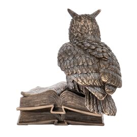 Статуетка "Сова" (17 см) VERONESE, изображение 3 ᐒ купить на  ❤ Like7km.com.ua