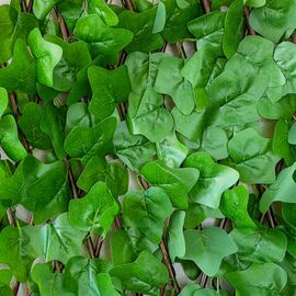Декоративная панель из искусственной зелени и лозы "Плющ", 37,5*120 см, изображение 3 ᐒ купить на  ❤ Like7km.com.ua