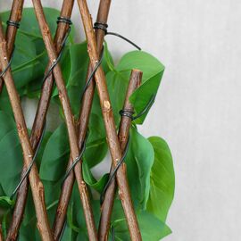 Декоративная панель из искусственной зелени и лозы "Фикус", 36*120 см, изображение 5 ᐒ купить на  ❤ Like7km.com.ua