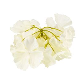 Головка гортензии, белая, 16 см, изображение 3 ᐒ купить на  ❤ Like7km.com.ua