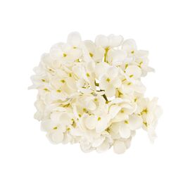 Головка гортензии мелкоцветная, белая, 14 см, изображение 2 ᐒ купить на  ❤ Like7km.com.ua