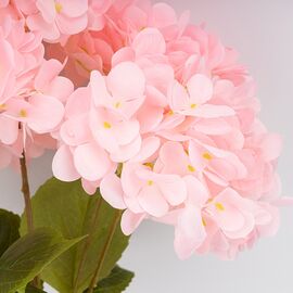 Букет гортензий, 5 бутонов, светло-розовый, 48 см, изображение 2 ᐒ купить на  ❤ Like7km.com.ua