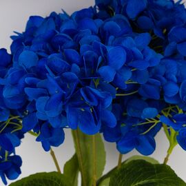Букет гортензий, 5 бутонов, синий, 48 см, изображение 2 ᐒ купить на  ❤ Like7km.com.ua