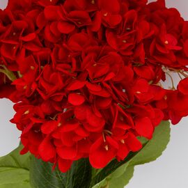 Букет гортензий, 5 бутонов, красный, 48 см, изображение 2 ᐒ купить на  ❤ Like7km.com.ua