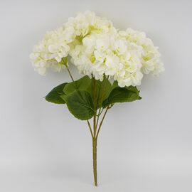 Букет гортензий, 5 бутонов, белый, 48 см, изображение 3 ᐒ купить на  ❤ Like7km.com.ua