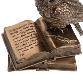 Статуэтка "Мудрая Сова", 16,5 см VERONESE, изображение 3 ᐒ купить на  ❤ Like7km.com.ua