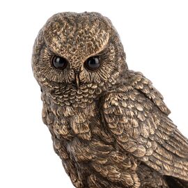 Статуэтка "Мудрая Сова", 16,5 см VERONESE, изображение 4 ᐒ купить на  ❤ Like7km.com.ua