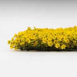 Искусственный фитомодуль "Самшит золотой", 60*41 см СПАСЕННАЯ ПОЗИЦИЯ, изображение 4 ᐒ купить на  ❤ Like7km.com.ua