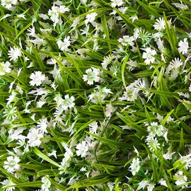 Искусственный фитомодуль "Белый цвет", 60*41 см СПАСЕННАЯ ПОЗИЦИЯ, изображение 5 ᐒ купить на  ❤ Like7km.com.ua