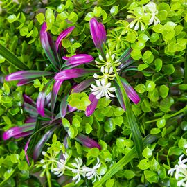 Искусственный фитомодуль "Цветочный микс", 60*41 см СПАСЕННАЯ ПОЗИЦИЯ, изображение 5 ᐒ купить на  ❤ Like7km.com.ua