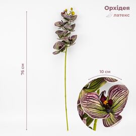 Латексная орхидея, зелено-бордовая, 76 см СПАСЕННАЯ ПОЗИЦИЯ ᐒ купить на  ❤ Like7km.com.ua