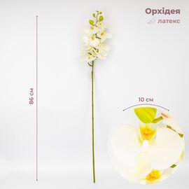 Латексная орхидея, кремовая, 86 см СПАСЕННАЯ ПОЗИЦИЯ ᐒ купить на  ❤ Like7km.com.ua