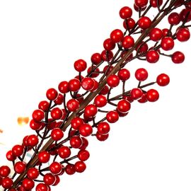 Кизильник Корал Бьюти, красный 1 м, изображение 2 ᐒ купить на  ❤ Like7km.com.ua