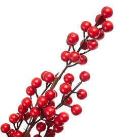 Кизильник Корал Бьюти, красный 1 м, изображение 3 ᐒ купить на  ❤ Like7km.com.ua