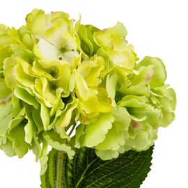 Цветок искусственный "Гортензия лимонная", изображение 3 ᐒ купить на  ❤ Like7km.com.ua