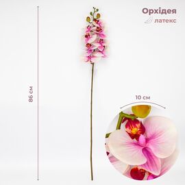 Латексная орхидея, бело-розовая, 86 см СПАСЕННАЯ ПОЗИЦИЯ ᐒ купить на  ❤ Like7km.com.ua