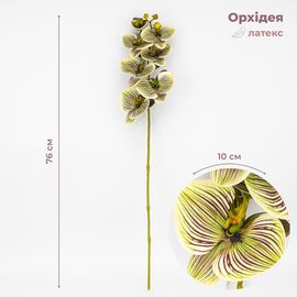 Латексная орхидея, зелено-кремовая, 76 см СПАСЕННАЯ ПОЗИЦИЯ ᐒ купить на  ❤ Like7km.com.ua