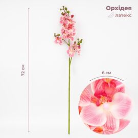 Латексная орхидея, кремово-розовая, 72 см СПАСЕННАЯ ПОЗИЦИЯ ᐒ купить на  ❤ Like7km.com.ua