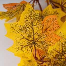 Гирлянда "Кленовые листья", 240 см, изображение 5 ᐒ купить на  ❤ Like7km.com.ua