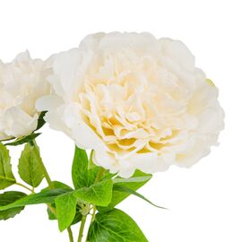 Искусственные пионы, кремовые, 60 см, изображение 2 ᐒ купить на  ❤ Like7km.com.ua