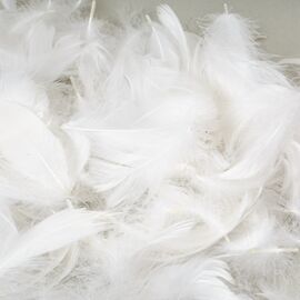 Наполнитель  "Жар-птица" *рандомный выбор цвета, изображение 10 ᐒ купить на  ❤ Like7km.com.ua