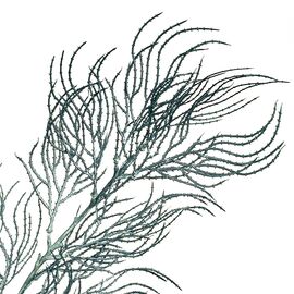 Ветка ивы волнистая серо-голубая искусственная, изображение 2 ᐒ купить на  ❤ Like7km.com.ua