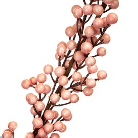 Кизильник Корал Бьюти, розовый 1 м, изображение 2 ᐒ купить на  ❤ Like7km.com.ua