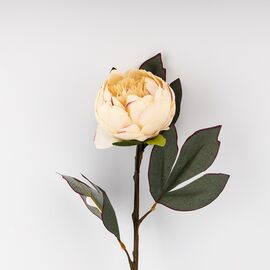 Искусственные пионы, кремовые, 66 см, изображение 3 ᐒ купить на  ❤ Like7km.com.ua